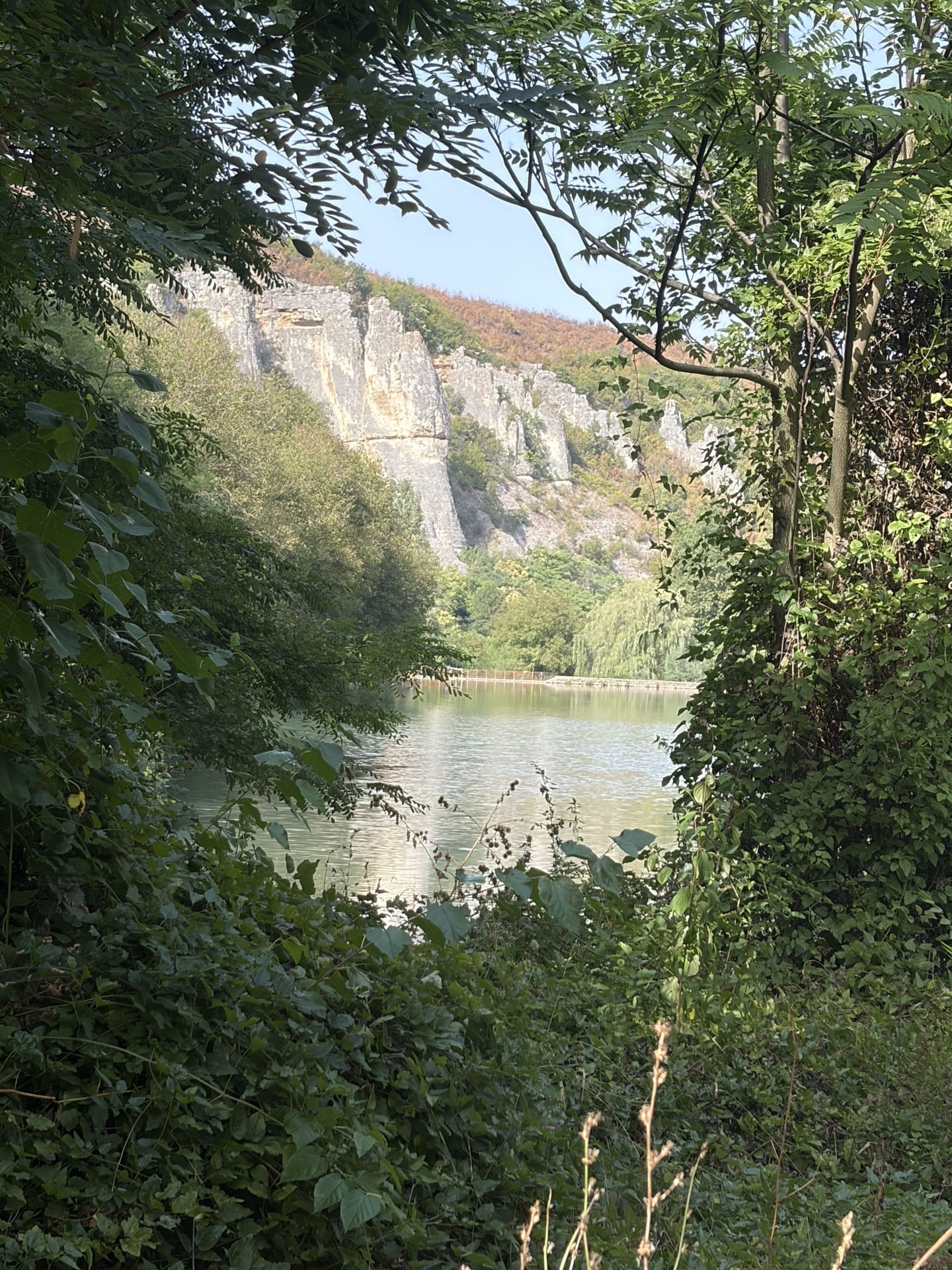 The limestone rim above Reselets reservoir seen through the foliage of shore trees
